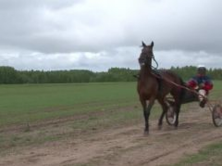 Latgalē atdzimst zirgu rikšotāju tradīcijas