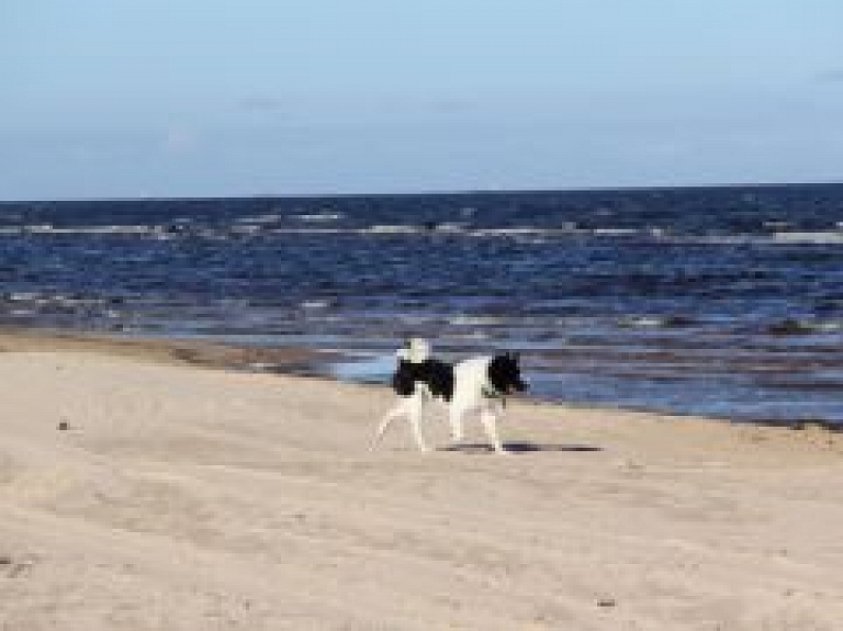 Piejūras dabas parkā suns jāved pavadā