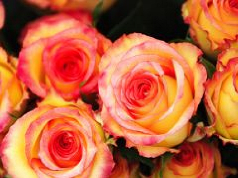 Aicina iesniegt priekšlikumus Saulkrastu lielās balvas piešķiršanai