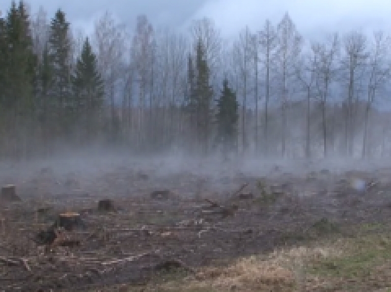 Latgales Reģionālā TV: Latgalē manāmi pirmie talcinieki