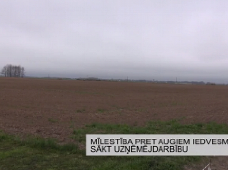 Latgales Reģionālā TV: Mīlestība pret augiem iedvesmo sākt uzņēmējdarbību
