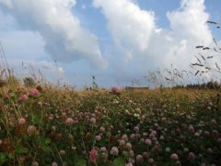 Konceptuāli atbalsta priekšlikumu atsavināt divus īpašumus