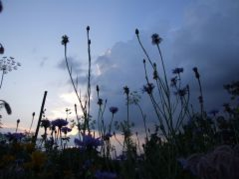 Slīteres parka Ceļotāju dienā šogad varēs izzināt dažādas dabas ēdamlietas