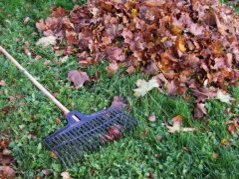 Talkā Talsu novadā sakopj šautuves teritoriju