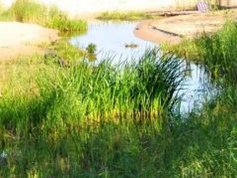 Pētīs zemes lietošanas un zemes apauguma veidu Carnikavas novadā