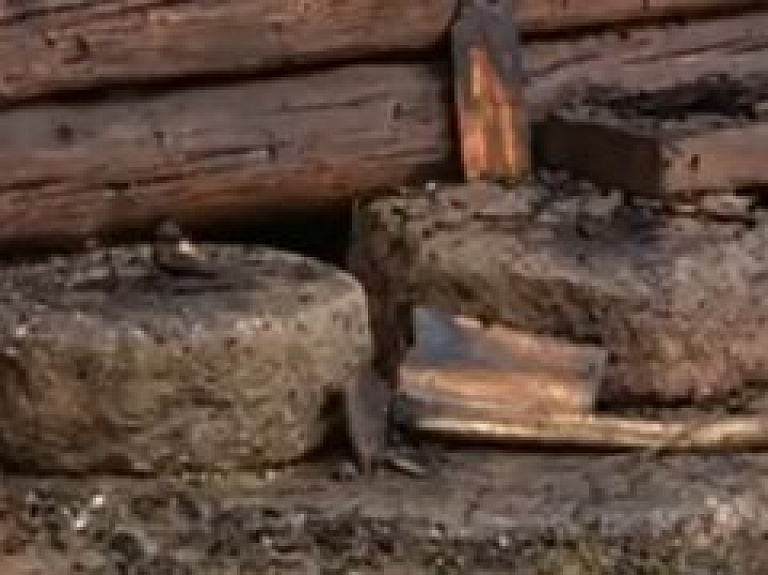 Noskaidro iemeslus ugunsgrēkam Imanta Ziedoņa vasaras mājas klētī