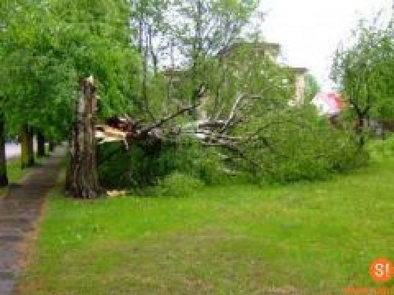 Siguldas novadā būs seminārs lauku un mežu apsaimniekotājiem