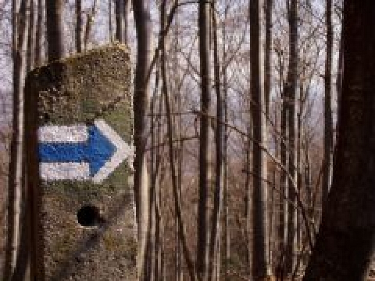 Aicina doties izzinošā pārgājienā pa Carnikavu