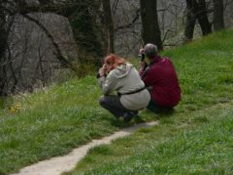 Ādažu kultūras centrā atklās fotogrāfiju izstādi "Zaļi"