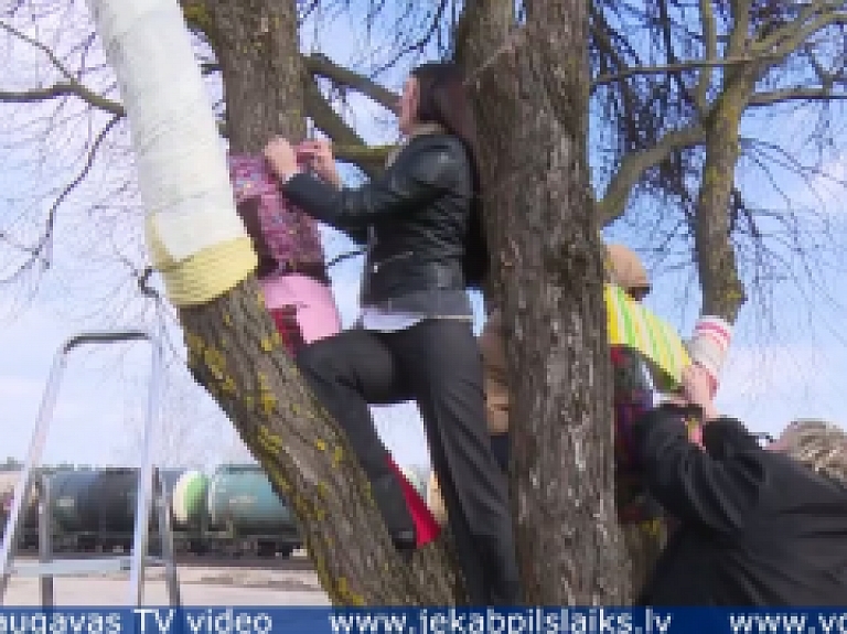 Vidusdaugavas TV: Līvānieši, pieminot deportācijas, "apģērbj" kokus