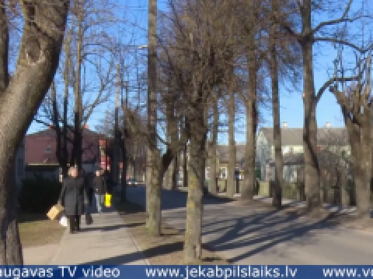 Vidusdaugavas TV: Sertificēts arborists: galotņošana nogalina kokus
