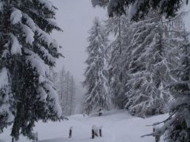 Rēzeknē norisināsies skijoringa sacensības