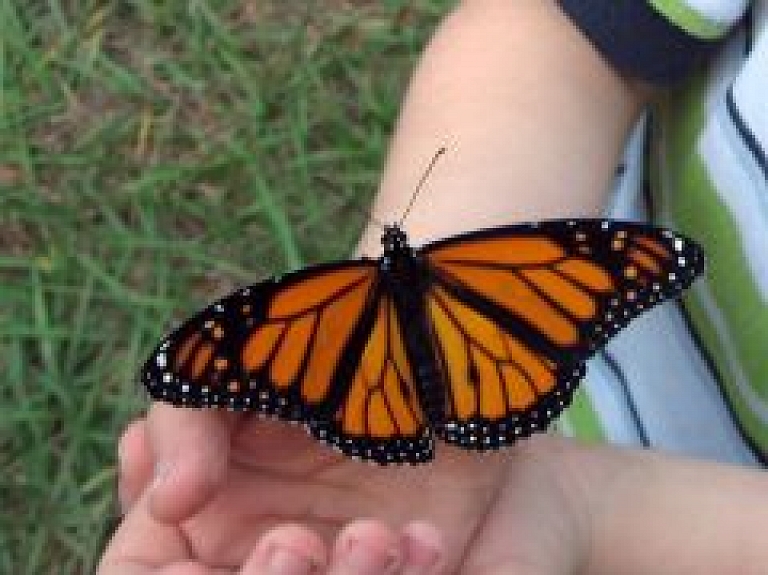 Ādažu novadā paplašinājies sociālo pakalpojumu klāsts