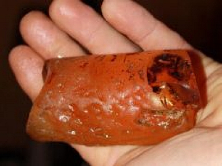 Kolkasragā atrod 150 gramus smagu dzintara gabalu