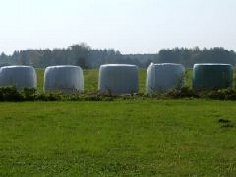 Latvijas Zemes fondā aktīvākie darījumu pieteicēji no Latgales