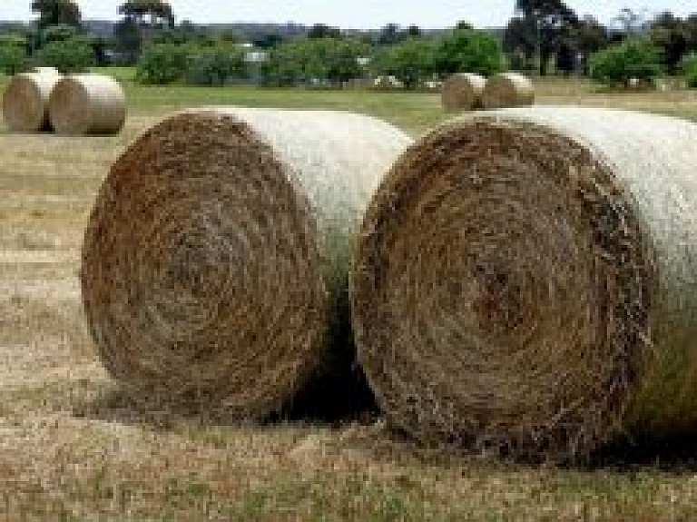 Latgalē vīrietim siena ruļļu presē ierauj kāju