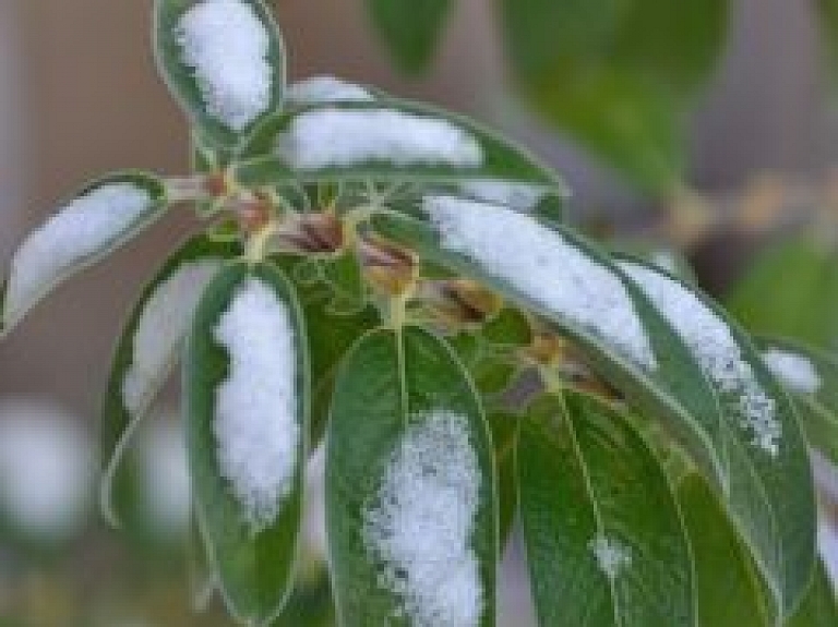 Ventspilī notiks seminārs "Teorija, prakse, pieredze vides izglītībā"