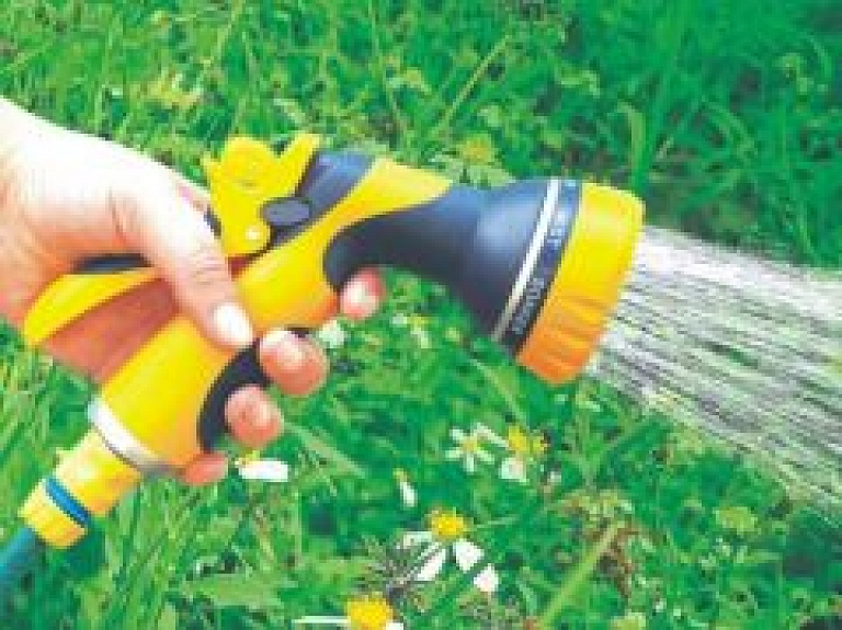 Arī vēsā vasarā nedrīkst aizmirst par augu laistīšanu