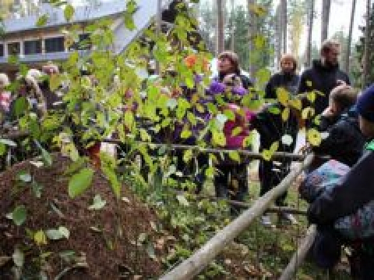 Tērvetes skolēni iepazīst skudru dzīvi Tērvetes dabas parkā