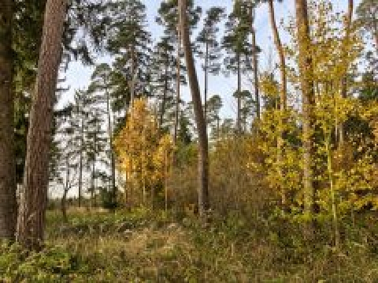 Līvānu novadā ārvalstnieki iegādājušies īpašumus 106 000 latu vērtībā