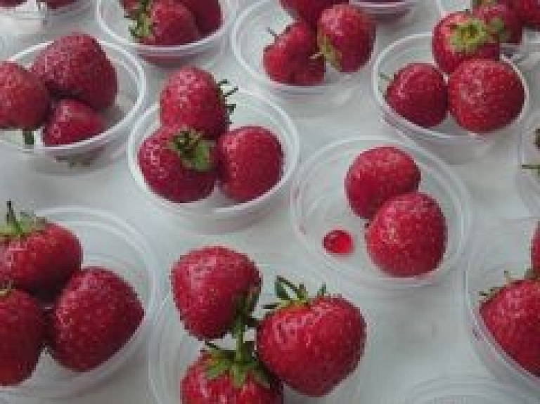 Mājražotāju Biedrība rīko tirdziņus un produktu degustācijas