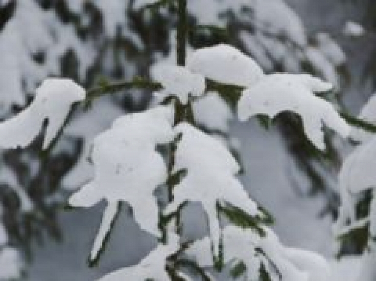 Valkas kultūras namā apskatāma foto izstāde "Mazā ziemas sonāte"