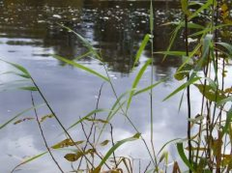 Latgalē gandrīz noslīkst iereibis vīrietis