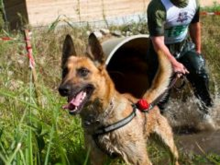 Rēzeknē notika dienesta suņu biatlona sacensības (galerija)