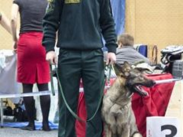 Valsts robežsardzes pārstāvji piedalās starptautiskā suņu izstādē