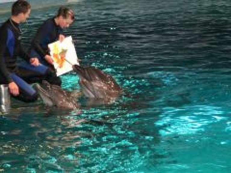 Šonedēļ Rēzeknes bērni varēs iepazīt delfīnu ģimenes dzīvi