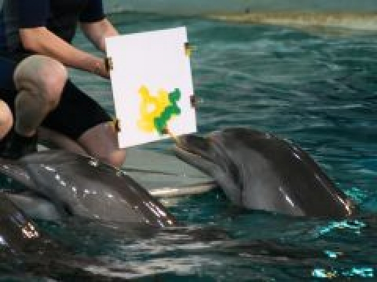 No rītdienas Rēzeknē būs apskatāma delfīnu gleznotu mākslas darbu izstāde (galerija)