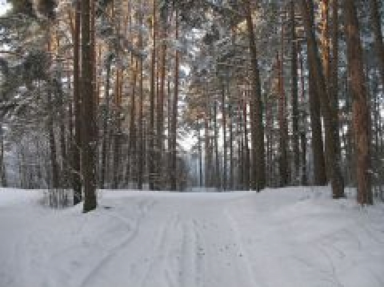 Nākamajā nedēļas nogalē Strenčos norisināsies slēpojums ar koka slēpēm