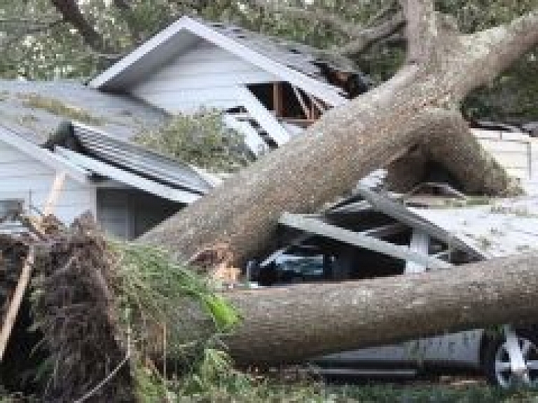 Rīgā, Alojas ielā, koks uzkrīt trīs automašīnām