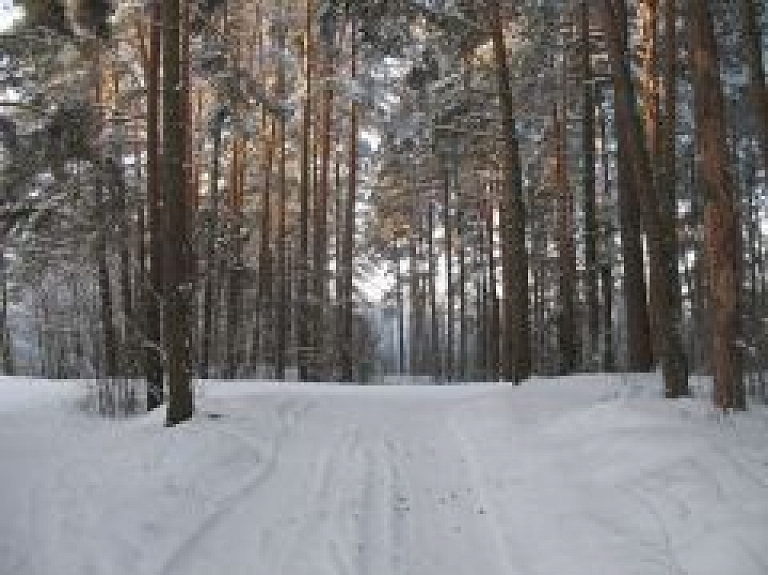 Šodien Ančupānos notiek distanču slēpošanas čempionāts