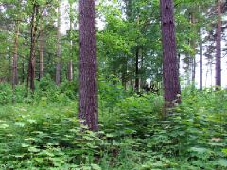 Ventspils Piedzīvojumu parks aicina uz atrakcijām