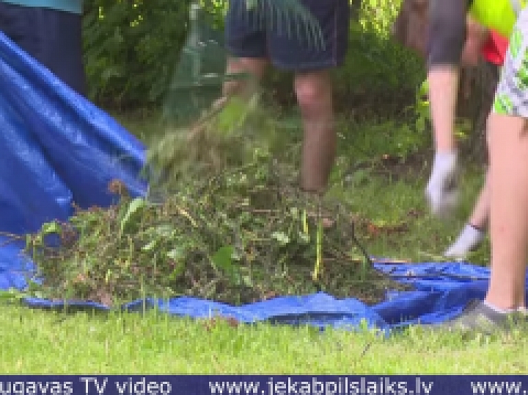 Vidusdaugavas TV: Jēkabpilī šovasar tiks nodarbināti kopumā 113 skolēni