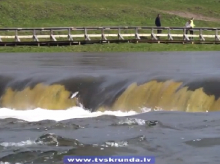 Skrundas TV: Lido zivis Kuldīgā - 2015