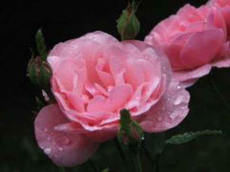 Aicina iesniegt priekšlikumus Saulkrastu lielās balvas piešķiršanai