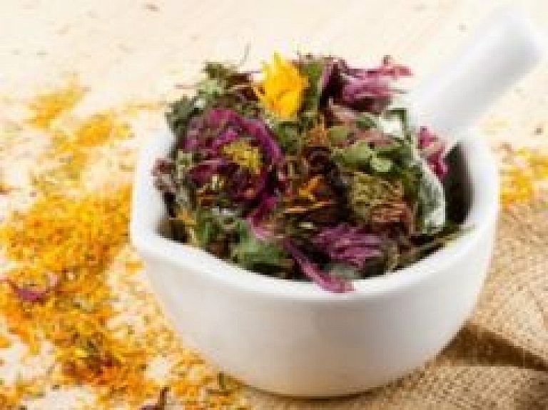 Carnikavā notiks lekcija "Augi un tautas medicīna"