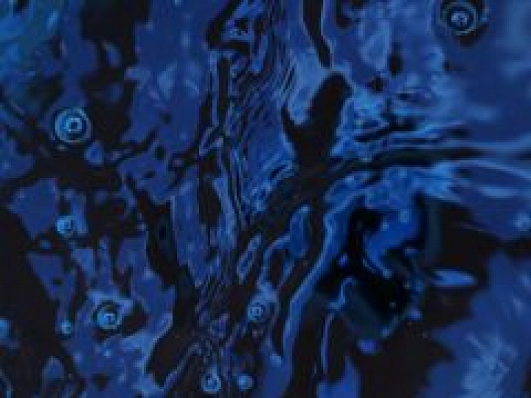 Starp Vanšu un Akmens tiltiem konstatēts naftas produktu piesārņojums