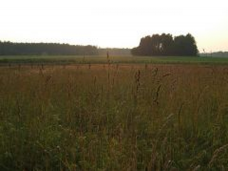 Rāznas nacionālajā parkā notiks Pļavu diena