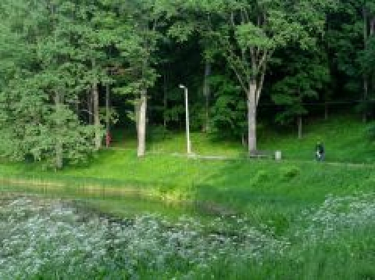 Rīgas mežā apmaldās bērns