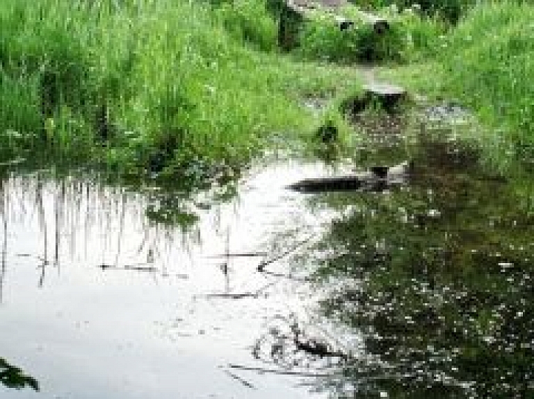 No purva Baložos izceļ mirušu vīrieti