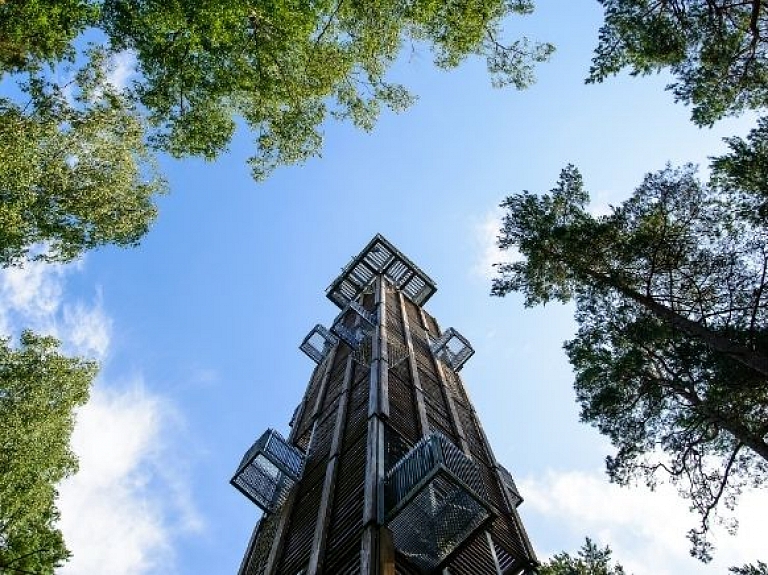 Dzintaru mežaparks un skatu tornis