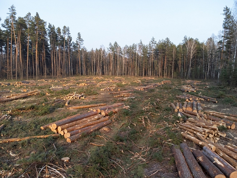 Cirsmas pārdošanas līgums – ko pārbaudīt pirms parakstīšanas?