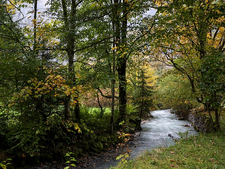 Ilgtspējīga mežizstrāde upju krastos