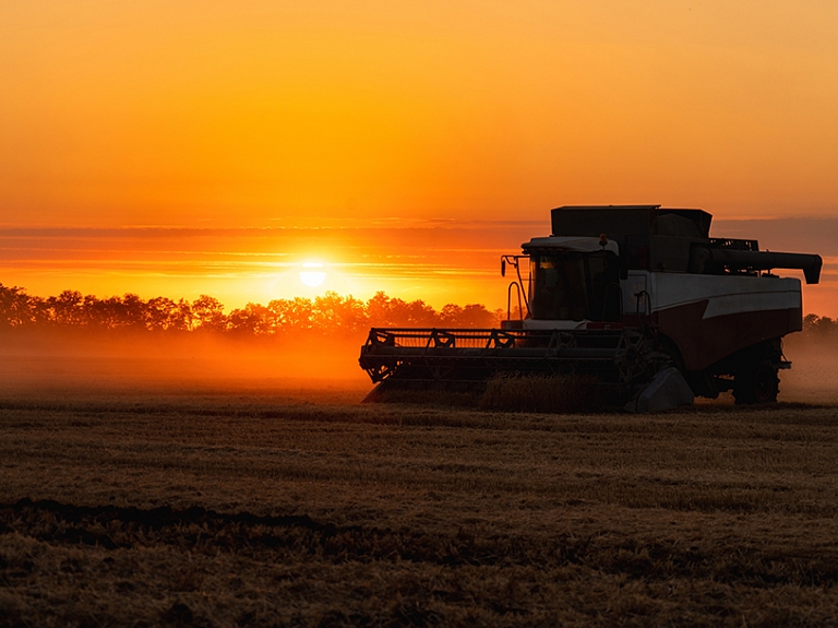 No idejas līdz realizācijai: kā Agerona palīdz atrast noietu mazāk ierastiem kultūraugiem?