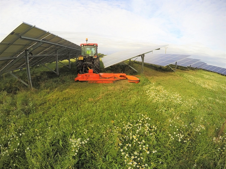 PERFECT Sunswing pļaujmašīna–smalcinātājs tavam saules parkam!