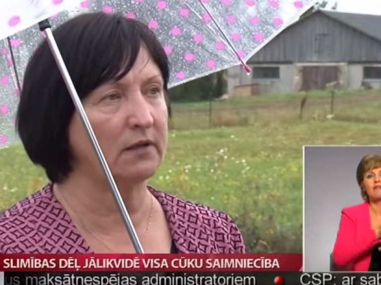 Slimības dēļ jālikvidē visa cūku saimniecība

