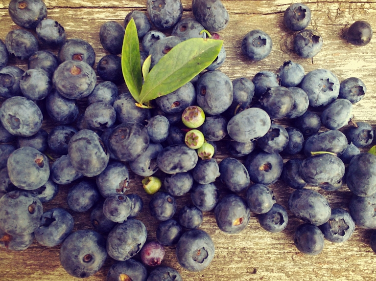 Notiks vitamīnu diena un rudens lielais stādu gadatirgus NBD

